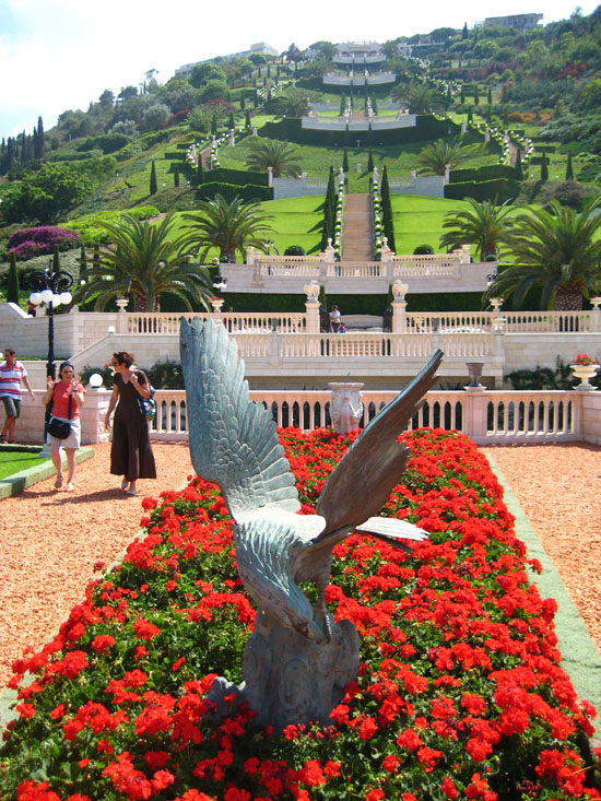 Garden from below